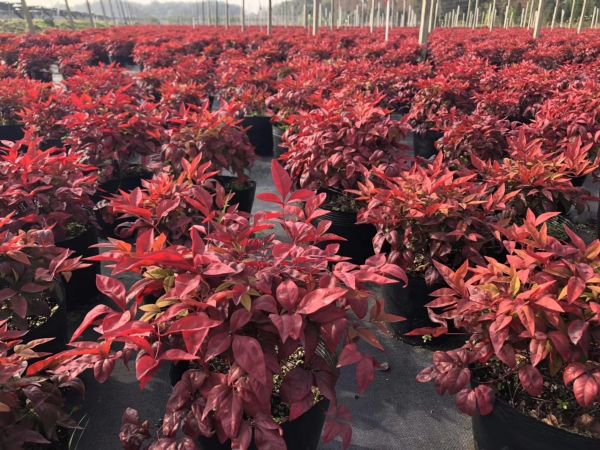 关于品质，我们“用图”说话